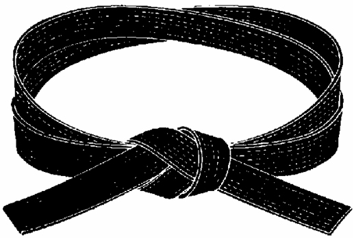 Black Belt (Yudansha)